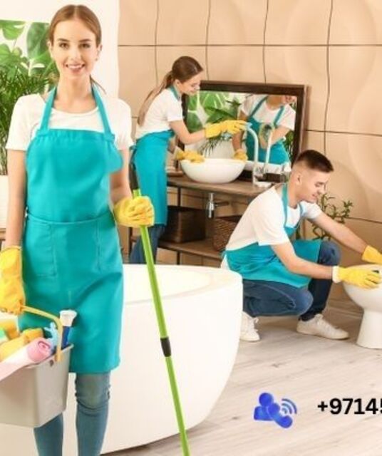 avatar Maid Service Near Me